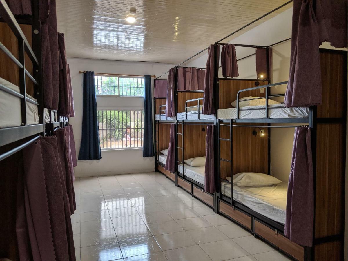 קינגסטון Ragamuffin Hostel מראה חיצוני תמונה